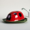 Colias Wing Green Leaf Shaped Ceramic Butter Dish with Ladybug
