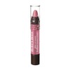 Burt's Bees 100% Natural Moisturizing Gloss Lip Crayon, Pink Lagoon