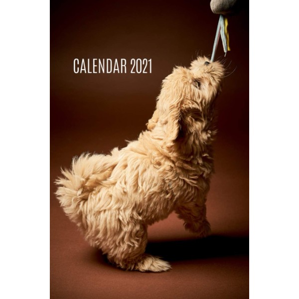 Maltipoo Calendar 2021: Monthly & Weekly Calendar and Planner |