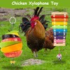 BNOSDM 5 Packs Chicken Xylophone Toy for Hens Chicken Mirror