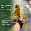 BeauGo Slip Leash Professional Dog Training,Lead to Stop Pulling,Perfect for