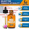Milk Thistle for Dogs & Cats – Liver Support for