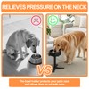 Adjustable Dog Bowl Stand Raised Bowl with 3 Heights Tilted