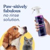 Honest Paws Honest Paws Dog Dry Shampoo - Waterless No
