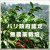 Coffee Beans [Powder] Freshly Roasted for the Best Delicious Caffeine-less