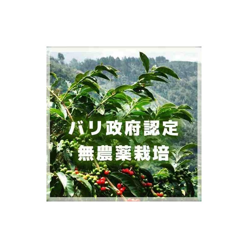 Coffee Beans [Powder] Freshly Roasted for the Best Delicious Caffeine-less