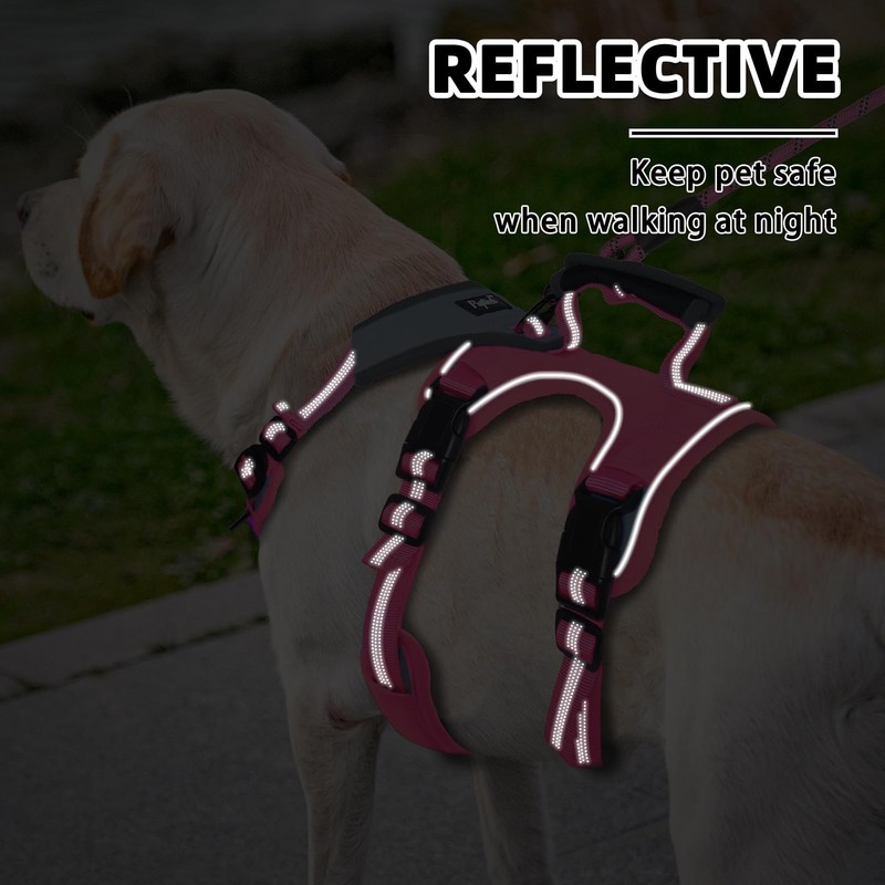 PUPTECK Escape Proof Dog Harness and Leash Set Upgraded No