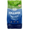 Expert Gardener Kentucky Bluegrass Northern Grass Seed Mix, for Sun