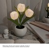 Tulip Night Light Soft Light Exquisite Ceramics PU Flower Table