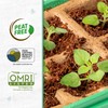 Back to the Roots 10-Cell Greenhouse Germination Kit | Includes