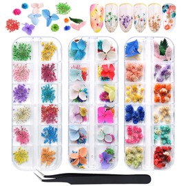 EBANKU 132PCS 3D Dried Flowers Nail Art , 3 Boxes Colorful Dried Gypsophila Daisy Hydrangea Flowers Nail Art Stickers Decoration and 1 tip tweezers, for Women Girls 3D Nail Design Decoration and Resin DIY