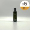 Dominas First Toning Essence 70ml 5pcs / 도미나스 퍼스트 토닝 에센스 70ml 5개