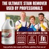 CarpetGeneral POG Remover 9452 - Heavy Duty Carpet Stain Remover
