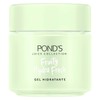 Gel Hidratante Facial Ponds Fruity Hydra Fresh Aloe 110 g