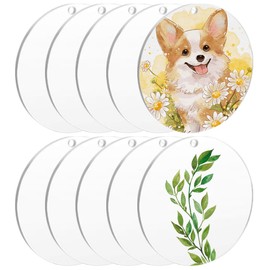 Pack of 10 Acrylic Discs Round with Hole, 15 cm Acrylic Blanks Discs, 2 mm Thick Acrylic Discs, Clear Round Acrylic Discs, Acrylic Plate Transparent, Suitable for DIY Picture Frames, Crafts, Crafts