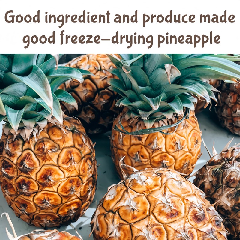 Freeze-Dried Pineapple Crisps | Snacks with No Added Sweeteners |