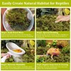 Legigo 14 OZ Sphagnum Moss for Reptile- 16 QT Natural