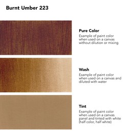 Daler Rowney System3 Burnt Umber 250ml Fluid Acrylic Paint Bottle - Acrylic Pouring Paint Supplies for Artists and Students - Vivid High-Flow Artist Paint for Canvas Murals and More