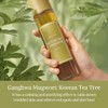 I'm from Miniatures of Rice Toner, Mugwort Essence, Fig Boosting
