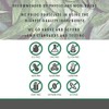 Supreme Nutrition Mimosa Supreme, 90 Pure Mimosa Pudica Seed Capsules