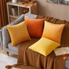 MIULEE Set of 2 Velvet Soft Solid Decorative Square Scatter