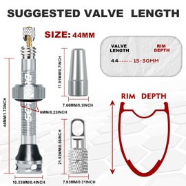 AEYINO Presta Valve Tubeless Stem 44 mm, Valve Stem Kit with Valve Core Removal Tool for Road Bike/Mountain Bike/MTB, Fit Most Bicycle Rims, Super Light Durable Aluminum Stem Silver