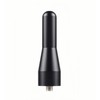 2 Inch Short Antenna Replacement for GMC Canyon Truck, Car