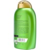 OGX Rosemary Mint XS Shampoo 13oz