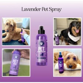 HONEYDEW Lavender Oil Dog Deodorizing Spray - Dog Spray for Smelly Dogs and Puppies and D