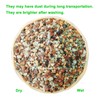 2lb Bonsai Succulent and Cactus Soil Boniosz Gritty Mix Rocks