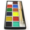 Zen Minded Japanese and Chinese Shodo Calligraphy Art Brush Ink Set Painting - 12 Colours & 3 Brushes