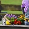 Relaxdays Flower Bulb Planter, Set of 2, Sewwood & Bulb