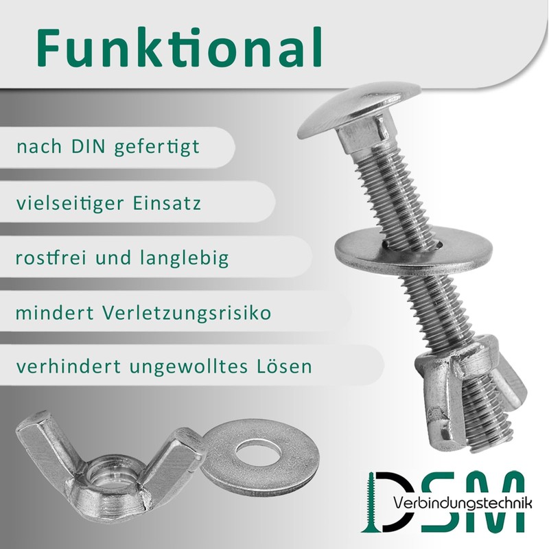 DSM – Schlossschrauben M6 x 20 mm nach DIN 603