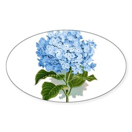 CafePress Blue Hydrangea Flowers Sticker Oval Car Bumper Sticker