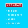 Larabar Peanut Butter Chocolate Chip, Gluten Free Vegan Fruit &