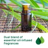 Glade Essential Oil Diffuser Refill, Use with Cool Mist Aromatherapy