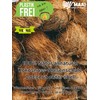 2 x MAAJ Hand Brush 28 cm Coconut for Tool