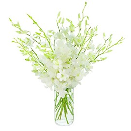 Kabloom PRIME OVERNIGHT DELIVERY - "National" Collection Exotic Perla White Orchid Bouquet of 20 Fresh White Dendrobium Orchids with Vase