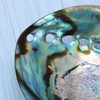 Veemoon Polished Abalone Shell Abalone Shell Smudge Bowl Home Abalone