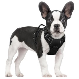 rabbitgoo rabbitgoo Dog Harness No Pull with 2 Leash Clips, Adjustable Soft Padded, Reflective Oxford No Choke Pet Vest with Easy Control Handle for Small Dogs, Black, S