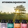 Extracto de Cardo Mariano Beyond Vitamins 100% Natural y Vegano