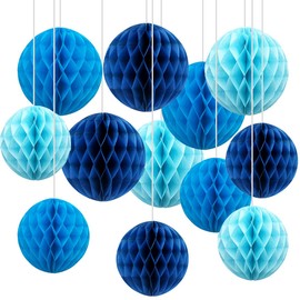 CC wonderland zone 12 palline di carta velina a nido d'ape per decorazioni feste (6 pollici e 10 pollici)