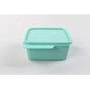 Tupperware Fridge 500 ml Mint Cool Corner Fresh Master Christmas