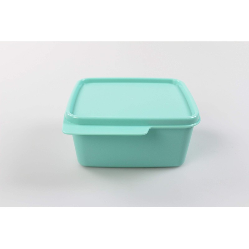 Tupperware Fridge 500 ml Mint Cool Corner Fresh Master Christmas