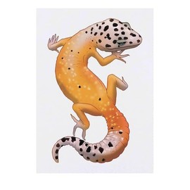 'Leopard Gecko' Temporary Tattoo - Water Resistant, Skin-Safe, Non-Toxic Transfer (TO00085055)