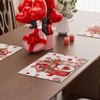 BOTB LIHM Valentines Day Roses Flowers Love Hearts Vase Cloth