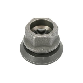 10 x DT Spare Parts 2.65116 Wheel Nuts 7/8" x 14 UNF SW: 34 for Truck, Bus