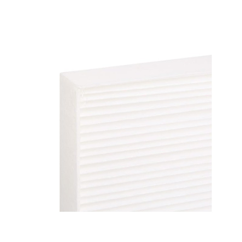 RIDEX 424I0029 Cabin Air Filter Pollen Filter