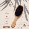 Lampox® Bamboo Hair Brush with Boar Bristles Head Massage Hair