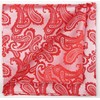 KissTies Mens Tie Set Coral Red Paisley Necktie + Pocket